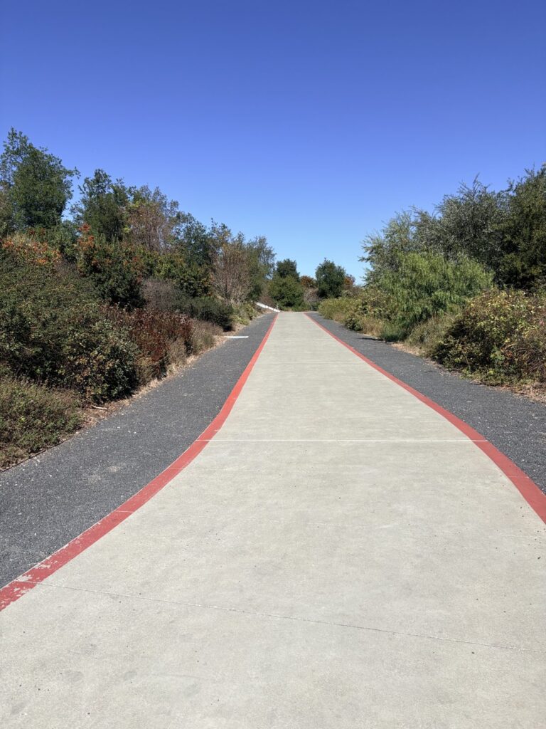 赤いラインのある遊歩道